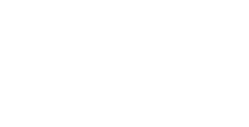 Zenith Flow logo